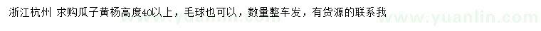 求購高40公分以上瓜子黃楊