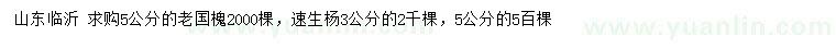 求購(gòu)5公分老國(guó)槐、3、5公分速生楊