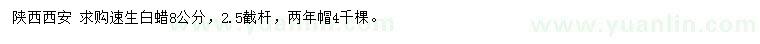 求購(gòu)8公分速生白蠟