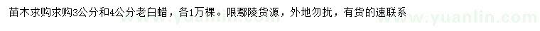 求購3、4公分老白蠟