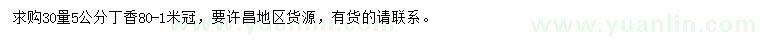 求購30量5公分丁香