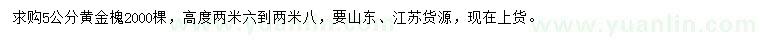 求購5公分黃金槐