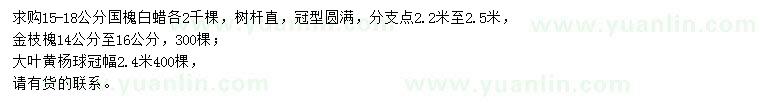 求購國槐、白蠟、金枝槐等
