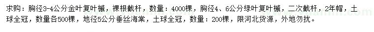 求購金葉復葉槭、綠葉復葉槭、垂絲海棠