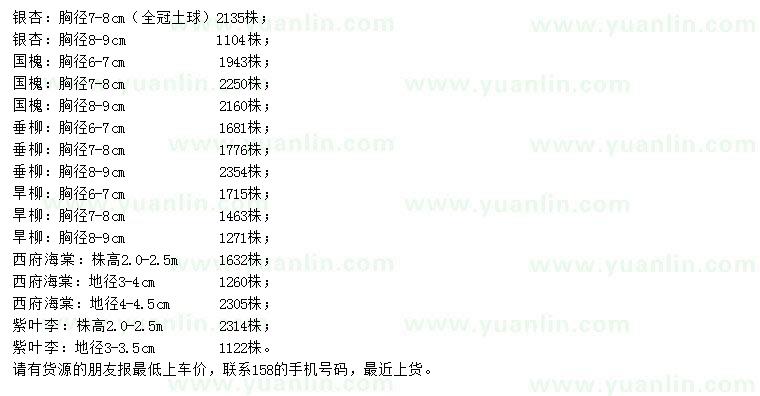 求購銀杏、國槐、垂柳等
