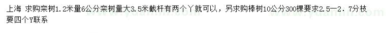 求購(gòu)1.2米量6公分欒樹(shù)、10公分棒樹(shù)