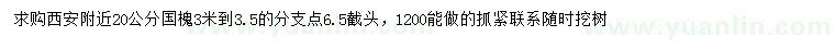 求購20公分國槐
