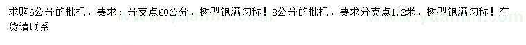求購6、8公分枇杷