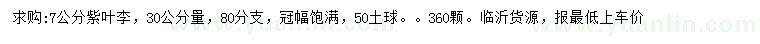 求購30公分量7公分紫葉李