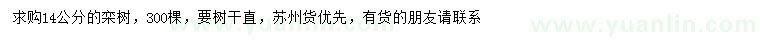 求購14公分欒樹