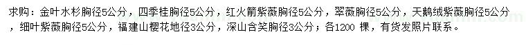 求購金葉水杉、四季桂、紅火箭紫薇等