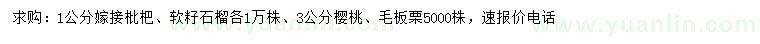 求購嫁接枇杷、軟籽石榴、櫻桃等