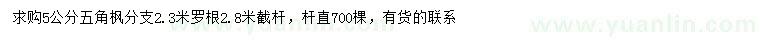 求購(gòu)5公分五角楓