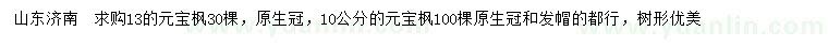 求購10、13公分元寶楓