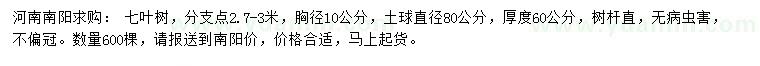 求購胸徑10公分七葉樹