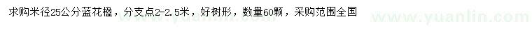 求購米徑25公分藍花楹