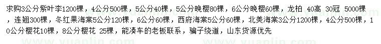 求購紫葉李、晚櫻、龍柏等