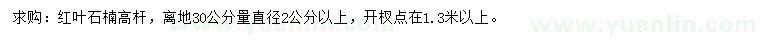求購離地30公分量直徑2公分以上紅葉石楠