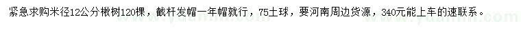 求購米徑12公分楸樹