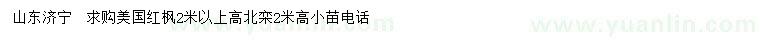 求購(gòu)2高米以上美國(guó)紅楓、北欒