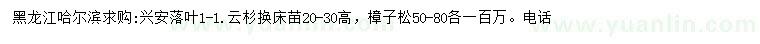 求購高20-30公分云杉換床苗、50-80公分樟子松