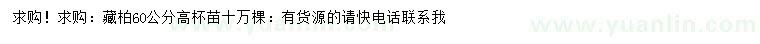 求購高60公分藏柏