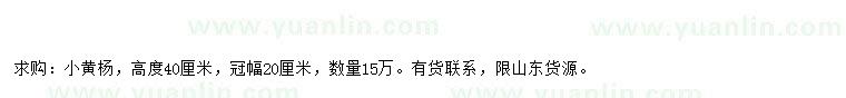 求購高40公分小黃楊
