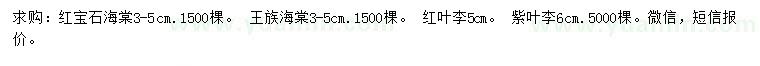 求購紅寶石海棠、王族海棠、紅葉李等