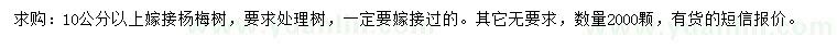 求購10公分以上楊梅樹