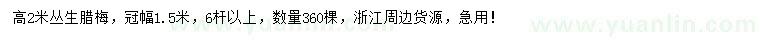 求購高2米臘梅