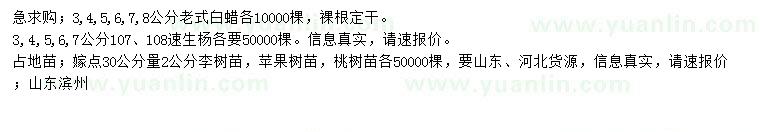 求購老式白蠟、107、108速生楊、李樹等