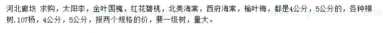 求購太陽李、金葉國槐、紅花碧桃等