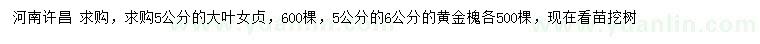 求購5公分大葉女貞、5、6公分黃金槐