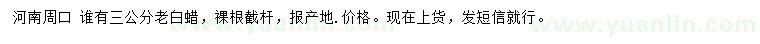 求購(gòu)3公分老白蠟