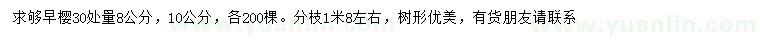 求購(gòu)30處量8、10公分早櫻