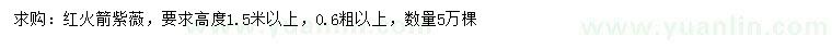 求購高1.5米以上紅火箭紫薇