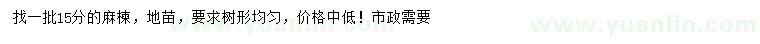 求購(gòu)15公分麻楝