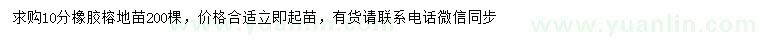 求購(gòu)10公分橡膠榕