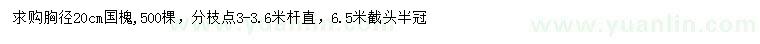 求購胸徑20公分國槐