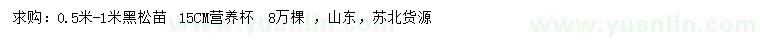 求購0.5-1米黑松苗