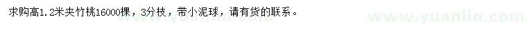 求購(gòu)高1.2米夾竹桃