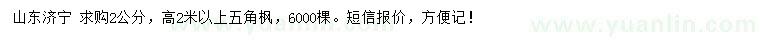 求購2公分五角楓
