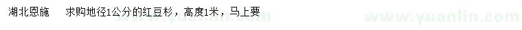 求購地徑1公分紅豆杉