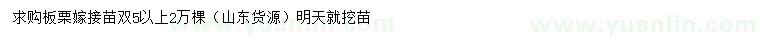 求購(gòu)5公分以上板栗嫁接苗