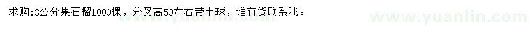 求購3公分果石榴