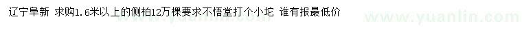 求購1.6米以上側(cè)柏