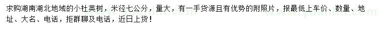求購米徑7公分小杜英樹