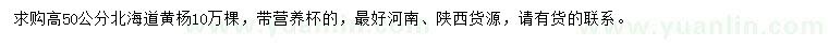 求購(gòu)高50公分北海道黃楊