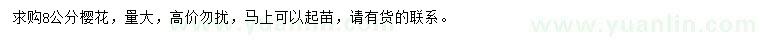 求購8公分櫻花