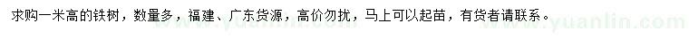 求購高1米鐵樹